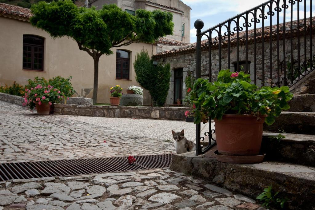 Il Vecchio Frantoio Villa Scillato  Ngoại thất bức ảnh